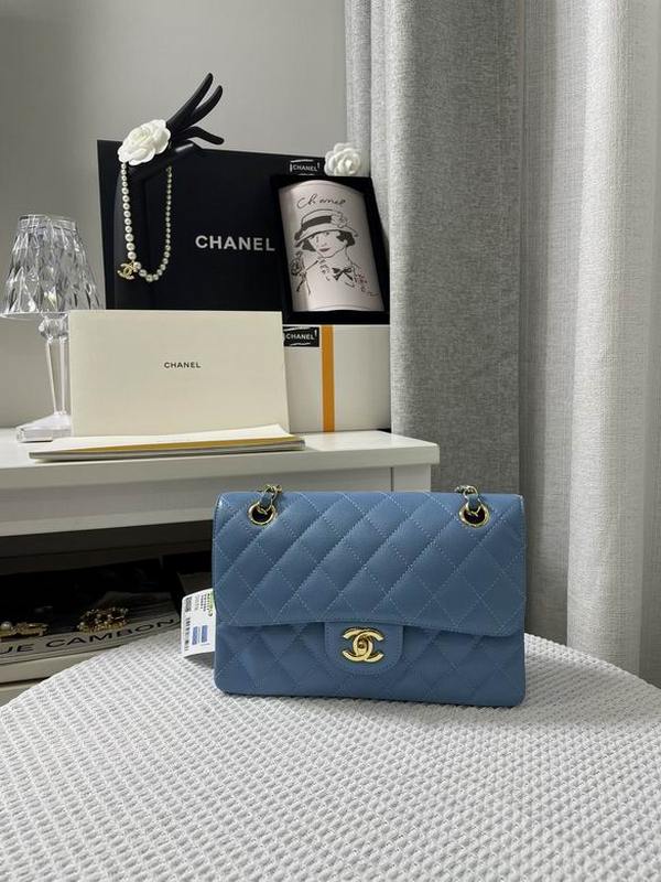 Chanel Handbags 168